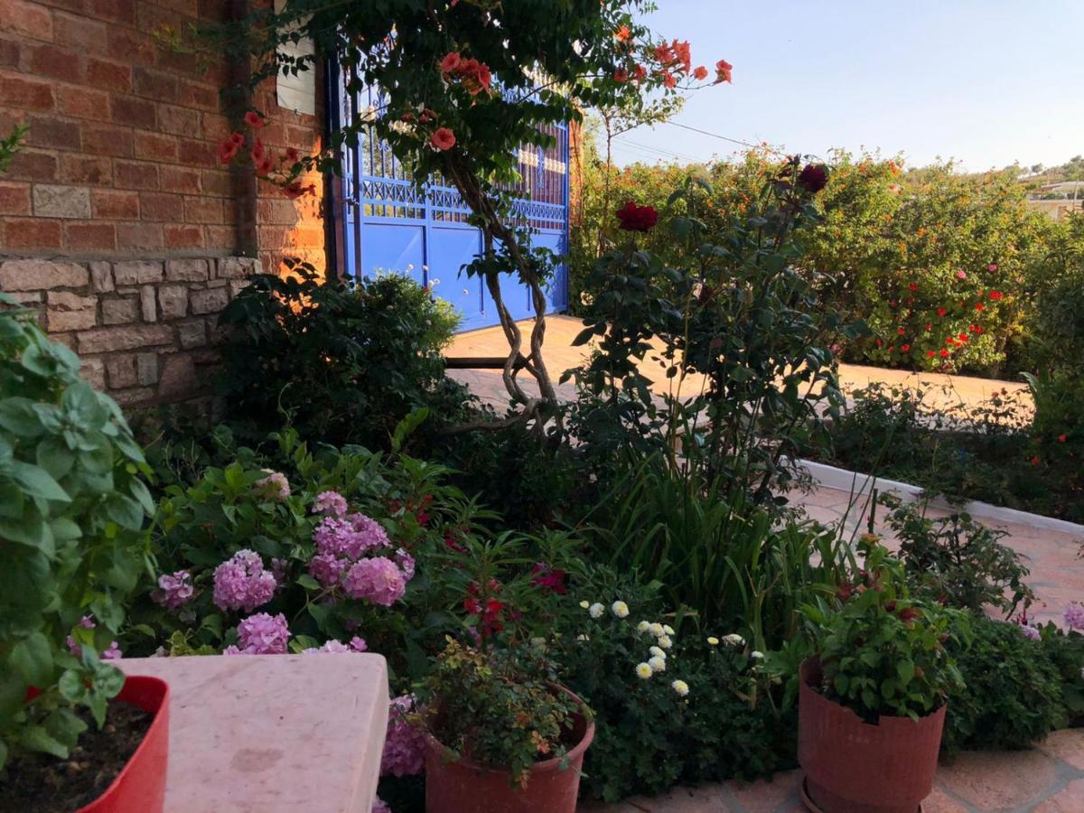 Vila Jeti كساميل المظهر الخارجي الصورة